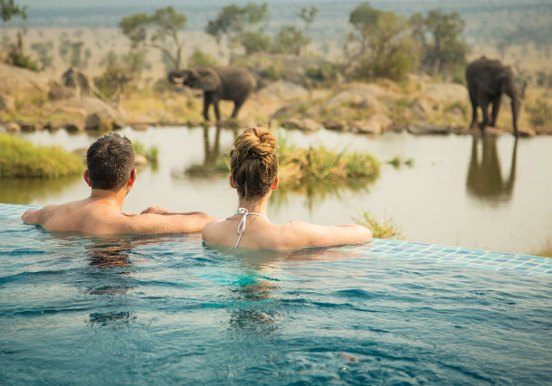 Africa Swimming Pool Couple search