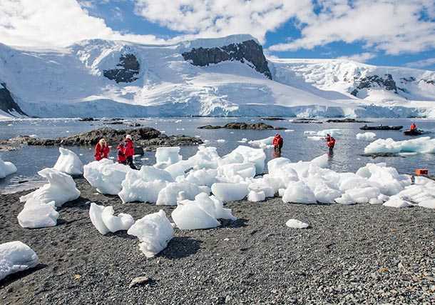 Classic Antarctica Jan 07 9 019 search