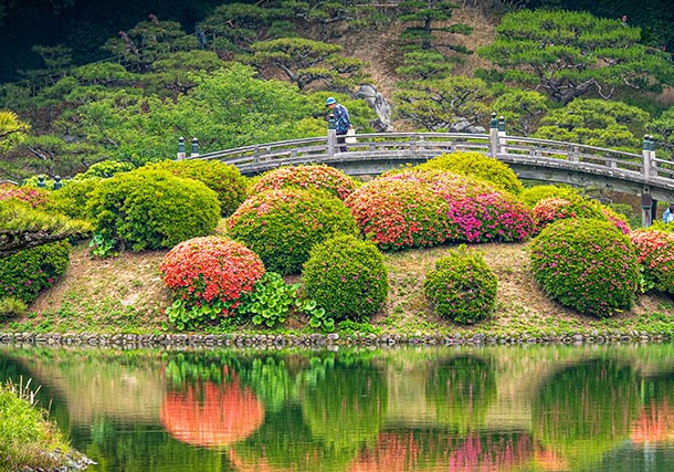 Wonders of Japan May 30 Jun 12 2019 search