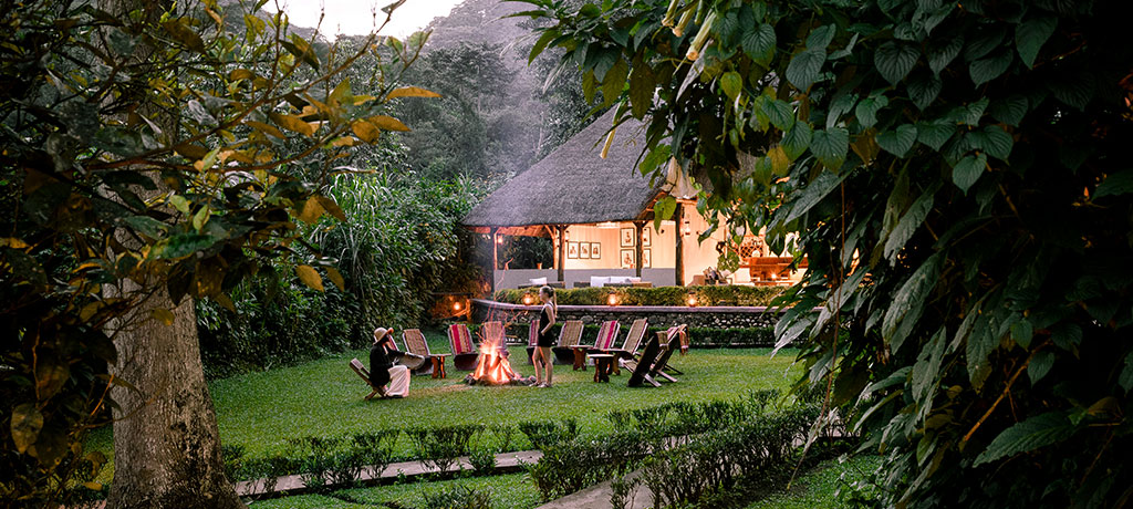 africa east africa uganda sanctuary gorilla forest camp terrace