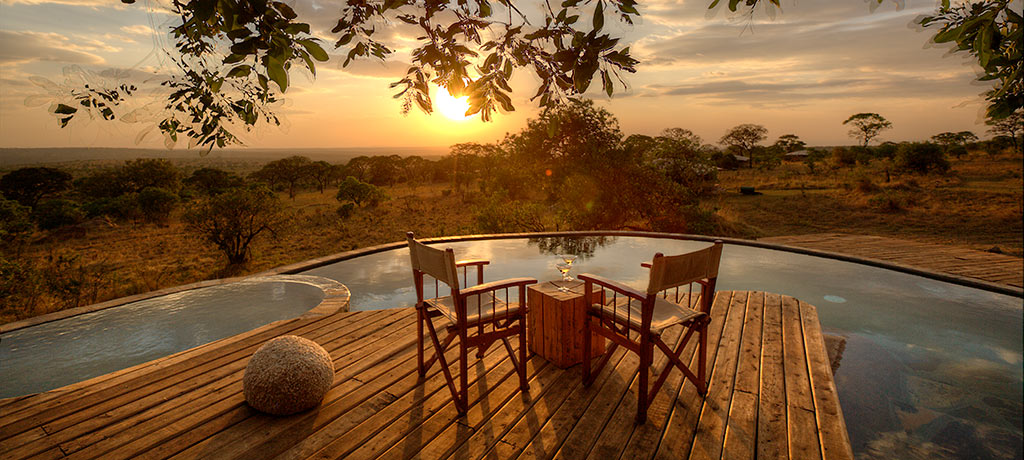 Africa Tanzania Serengeti Natl Park Serengeti Bushtops Pool