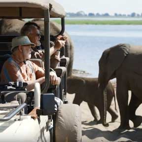 Botswana Safari in Style